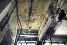 Asbestos and Lead Testing During Mold Inspection in Edgemere, MD